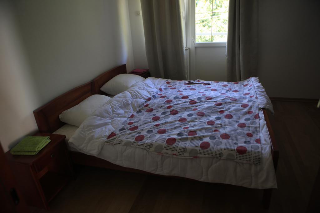 Apartment Mitric Plužine Extérieur photo